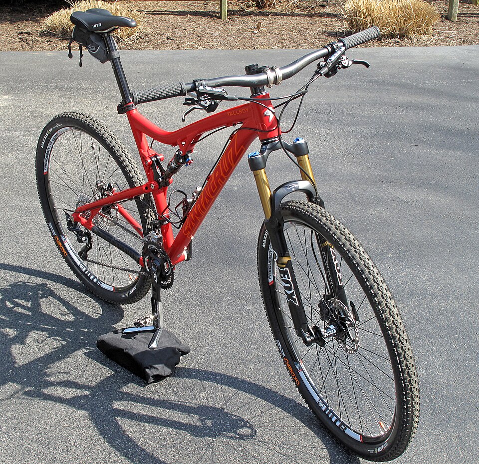 Santa Cruz Bronson C S